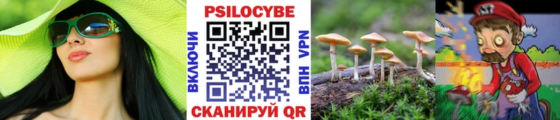купить наркоту  Артёмовский  Псилоцибиновые грибы Psilocybine cubensis 
